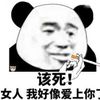 tsei_31