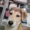 aahtitiya