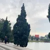 hoanganhh__a