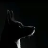 dogs_secrets_jk