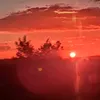 jonycardoso82