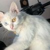 yulia_rainy