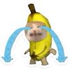 joceliofeijo0