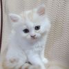 aya_mohamed981