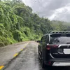 nguyenquan6679