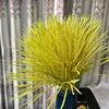 huenguyencva