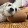 nguyenhongnhun22