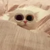 kanekikun_9x