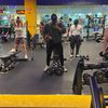 fitcollado