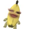 bumbim_pnt