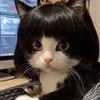 _hin234