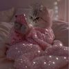 sili_rom25