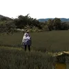devvv20_