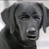 kathya_v4821