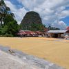 hermanbatam02