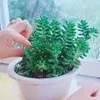 dohuong793