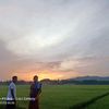 aliputrasingle