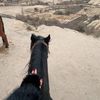 shatha.m3996