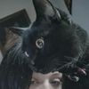 _zella666_