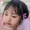 thanhtrinh557