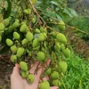 thuyhuongg1405