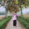 haphan261