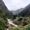 rosuetaroquipa