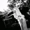 andryky_