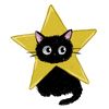 blackcatwwoo