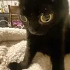 kittyy2137