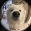 okihehehe