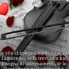 pinucciaamato