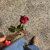 abr0r_19