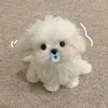 missbunbo