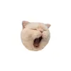 kenny_injie
