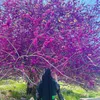 chawanmuhamad1