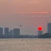 rose201844