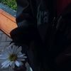 oroz_ara