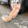 azam_291