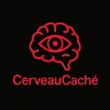 cerveaucache1