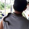 kendykoh_1047