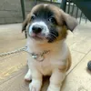 kiki_nau
