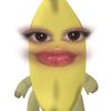 ninixqsi