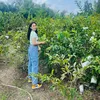 review_nhiettinh