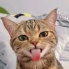 iqbalmustafaa_