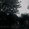 soklin34_