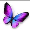 jessyhh_40