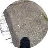 george02256