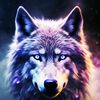 cedrick_b29