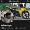 dienpham870gmail.com